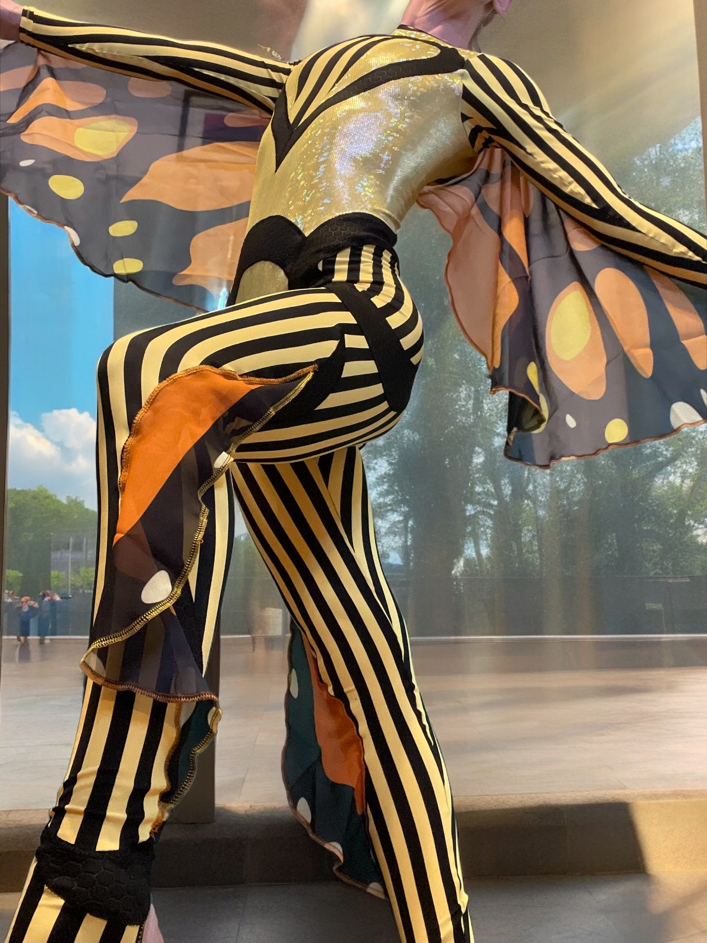 Sexy Little Butterfly Suit🦋
