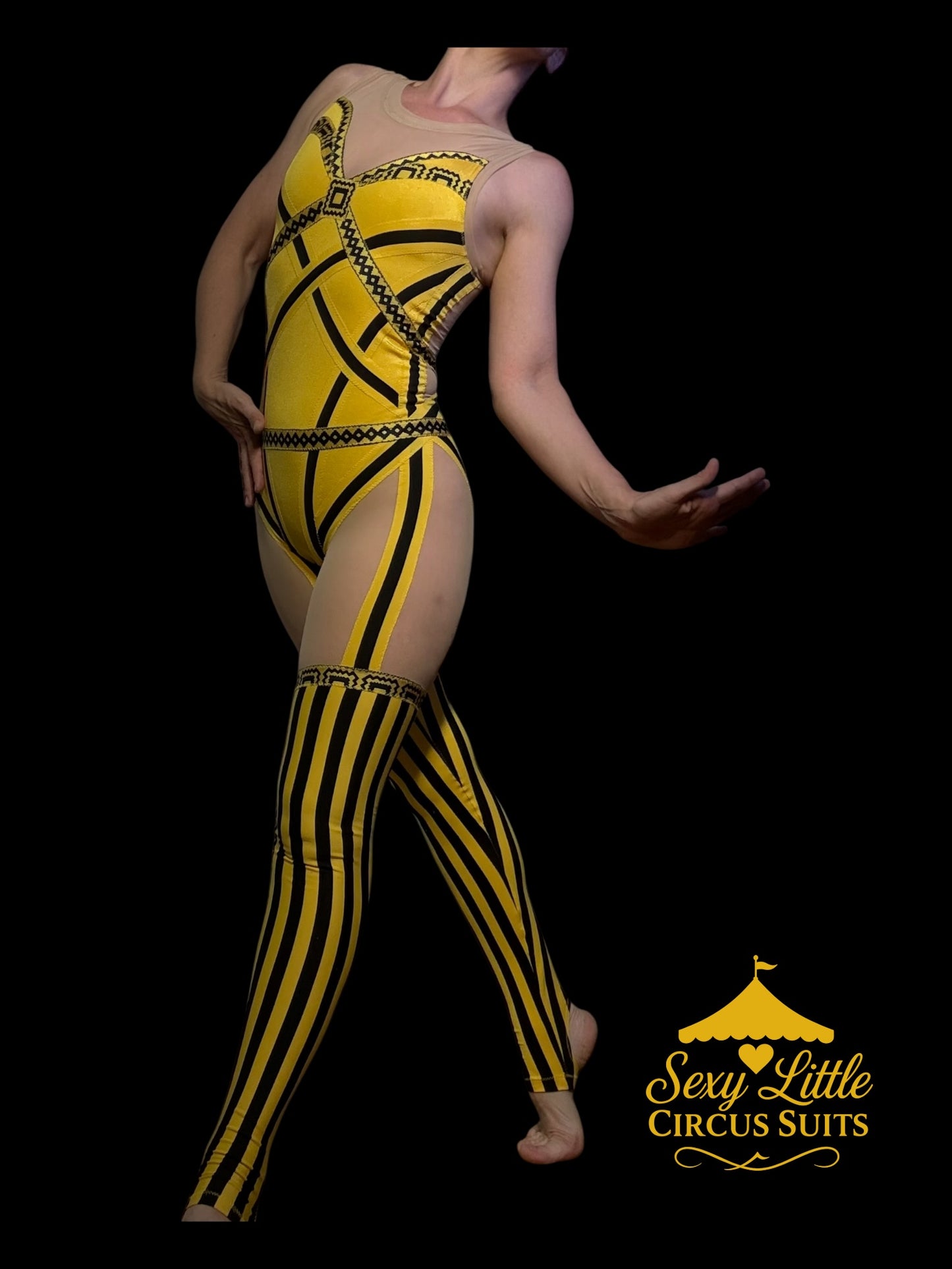 Dandelion Stripes