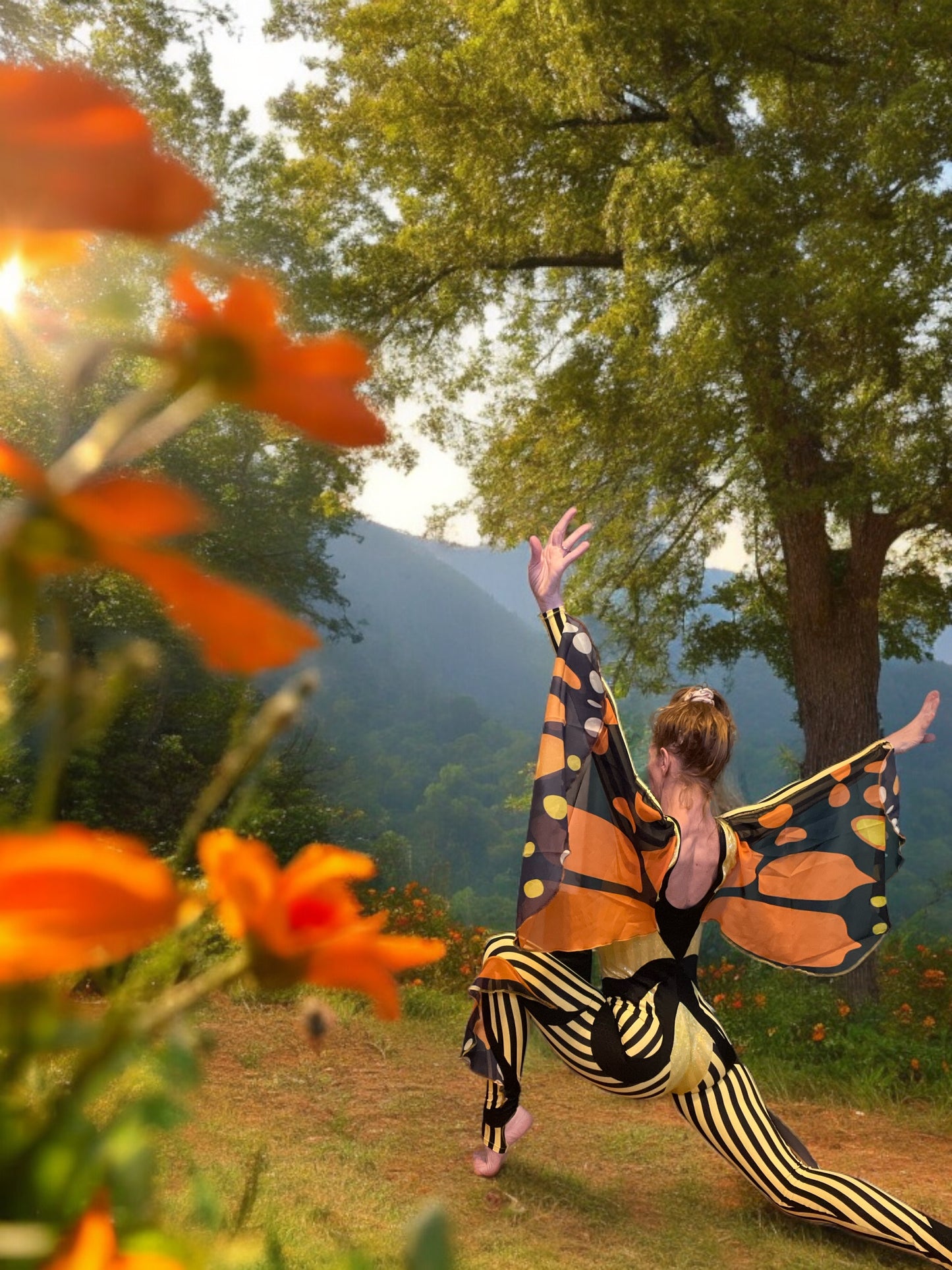 Sexy Little Butterfly Suit🦋