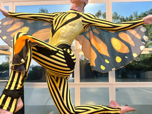 Sexy Little Butterfly Suit🦋